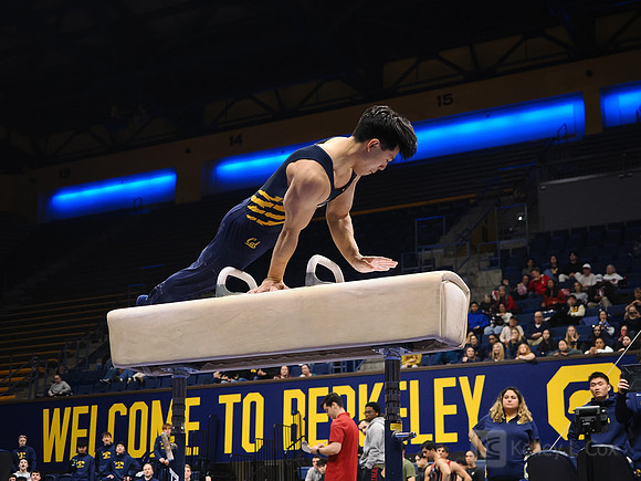Men’s Gymnastics: California Golden Bears vs Stanford Cardinal