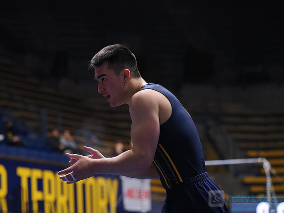 Men’s Gymnastics: California Golden Bears vs Stanford Cardinal