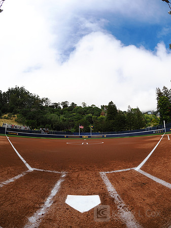 Field