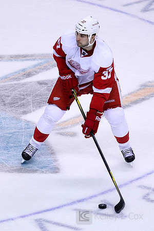 NHL: Detroit Red Wings at San Jose Sharks