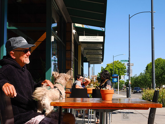 City of El Cerrito: Bike to Wherever Days