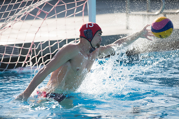USAWP: Mens National Team