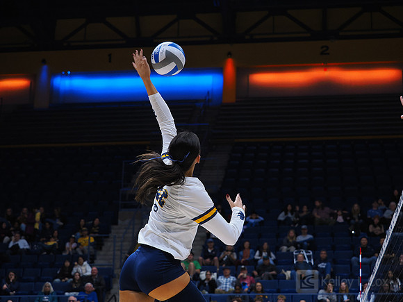 Volleyball: California Golden Bears vs Notre Dame Fighting Irish