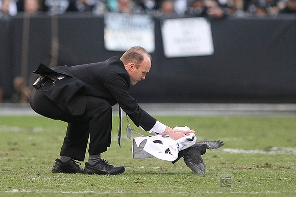 NFL: Kansas City Chiefs at Oakland Raiders