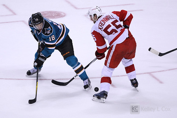 NHL: Detroit Red Wings at San Jose Sharks