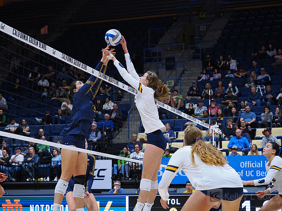 Volleyball: California Golden Bears vs Notre Dame Fighting Irish