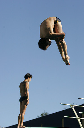 Cal Women's Swimming vs USC