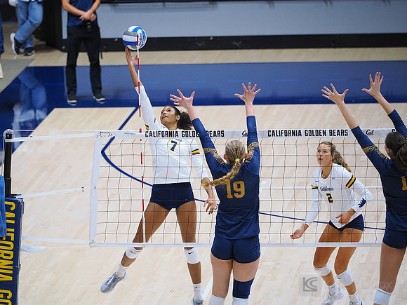 Volleyball: California Golden Bears vs Notre Dame Fighting Irish