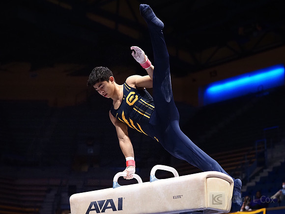 Noah Newfeld