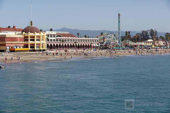 Santa Cruz Polar Plunge