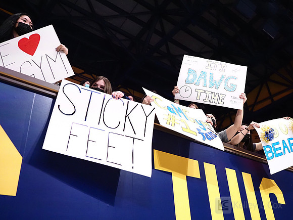 Fans