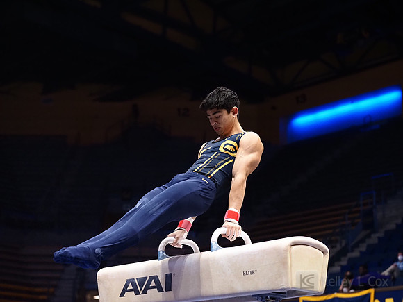 Noah Newfeld