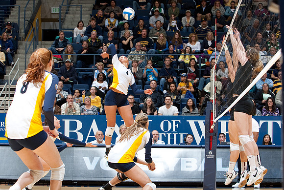 Cal Volleyball vs ASU