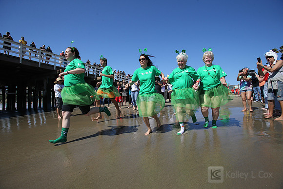 Santa Cruz Polar Plunge