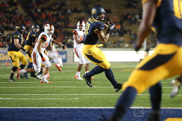 NCAA Football: Oregon State at California