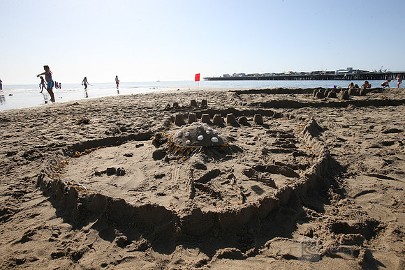 Santa Cruz Polar Plunge