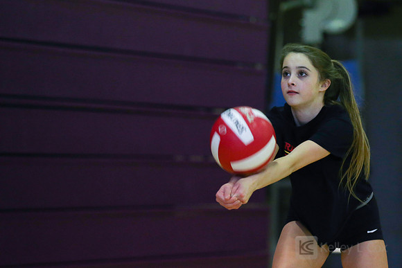 JV Volleyball: Berkeley at Piedmont