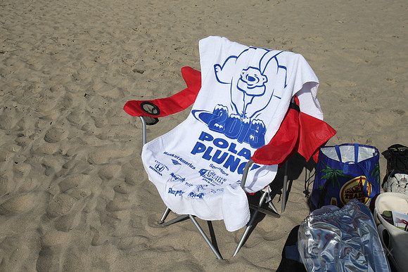 Santa Cruz Polar Plunge