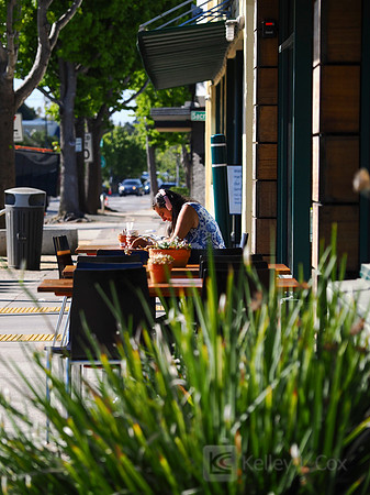 City of El Cerrito: Bike to Wherever Days