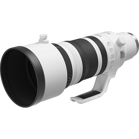 Canon RF 100-300 f/2.8