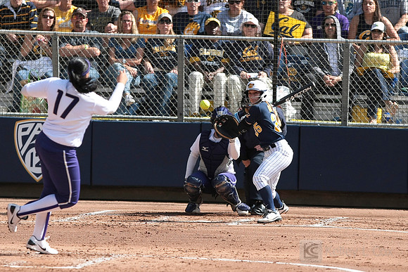 Softball: Washington vs Cal