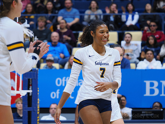 Volleyball: California Golden Bears vs Notre Dame Fighting Irish