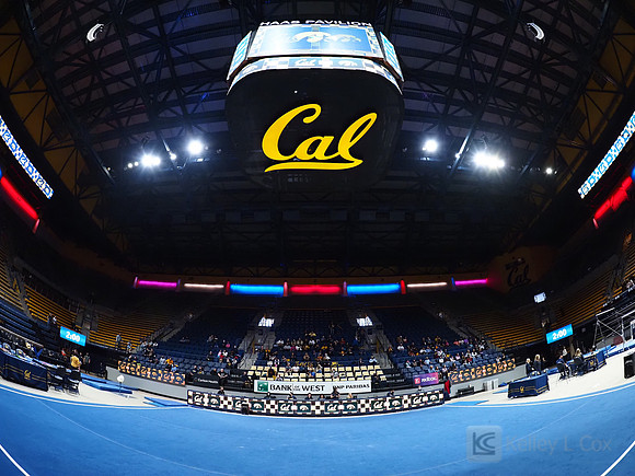 Women’s Gymnastics: California Golden Bears vs Iowa Hawkeyes