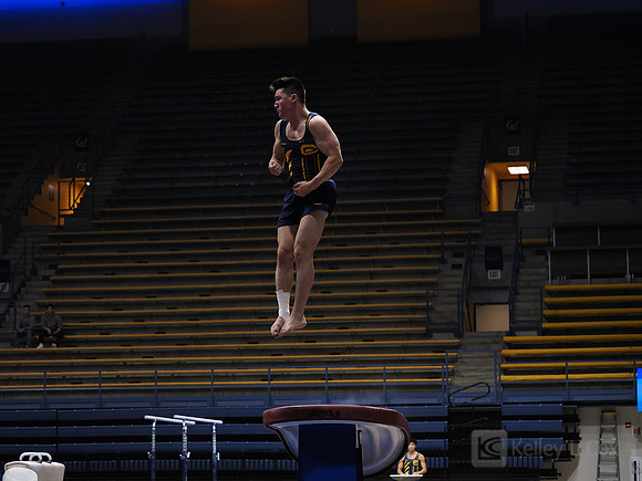Men’s Gymnastics: California Golden Bears vs Stanford Cardinal
