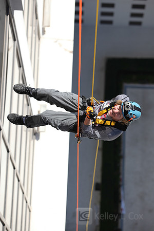 SONV: OTE 2013