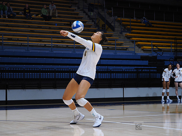 Volleyball: California Golden Bears vs Notre Dame Fighting Irish
