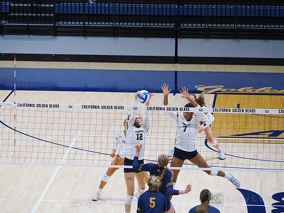 Volleyball: California Golden Bears vs Notre Dame Fighting Irish