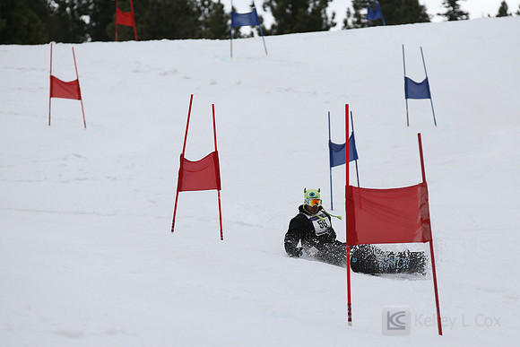 SONC 2015 Winterfest