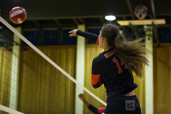 Volleyball: Berkeley at Piedmont