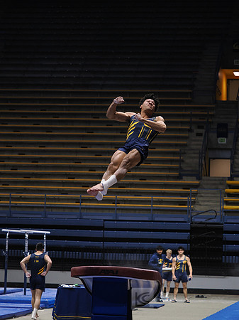 Men’s Gymnastics: California Golden Bears vs Stanford Cardinal