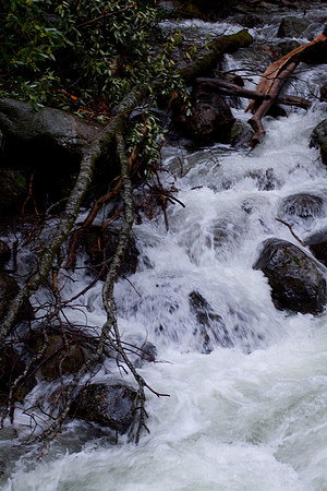 Yosemite 2011