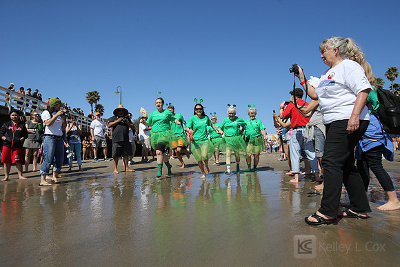Santa Cruz Polar Plunge