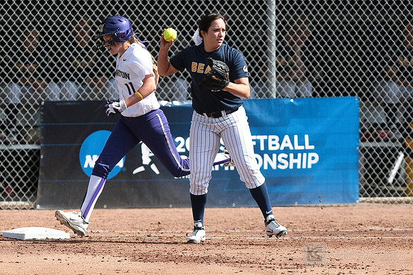 Softball: Washington vs Cal