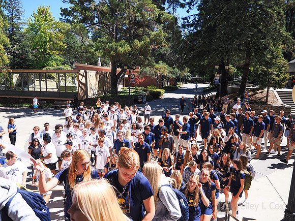 Cameron Institute and Big C Society: Welcome Back BBQ
