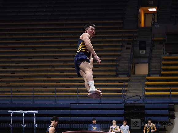 Men’s Gymnastics: California Golden Bears vs Stanford Cardinal