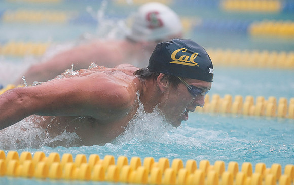 Cal Men's Swimming vs Stanford
