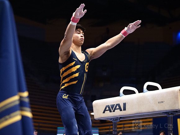 Noah Newfeld