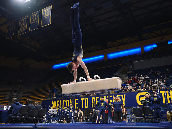 Men’s Gymnastics: California Golden Bears vs Stanford Cardinal
