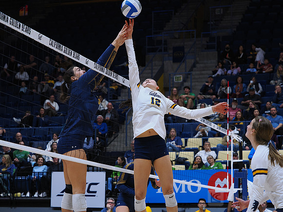 Volleyball: California Golden Bears vs Notre Dame Fighting Irish