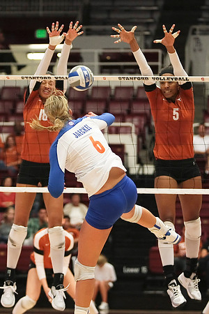 NCAA VOLLEYBALL: SEP 9 Nike Volleyball Big Four Classic - Florida v Texas