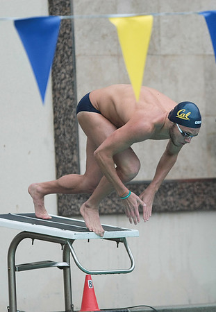 Cal Men's Swimming vs Stanford