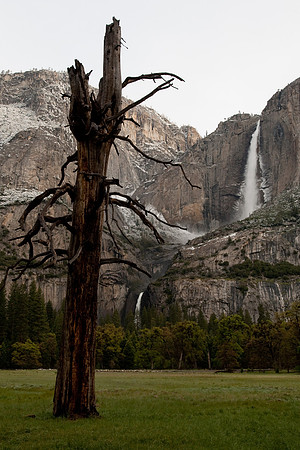 Yosemite 2011