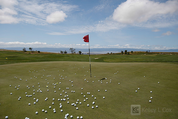 CSUEB: 2014 Golf Classic