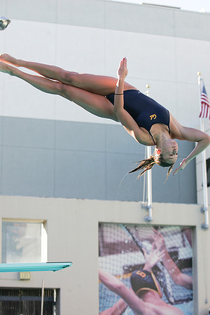 Cal Women's Swimming vs USC