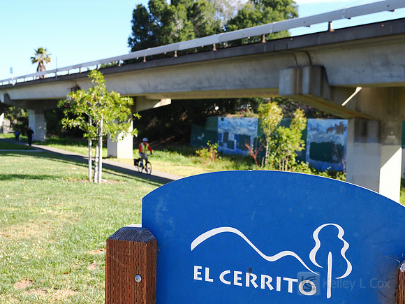 City of El Cerrito: Bike to Wherever Days