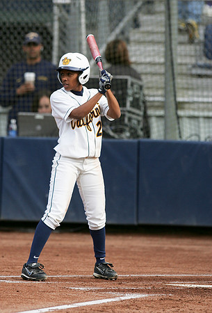 Cal Softball vs Santa Clara